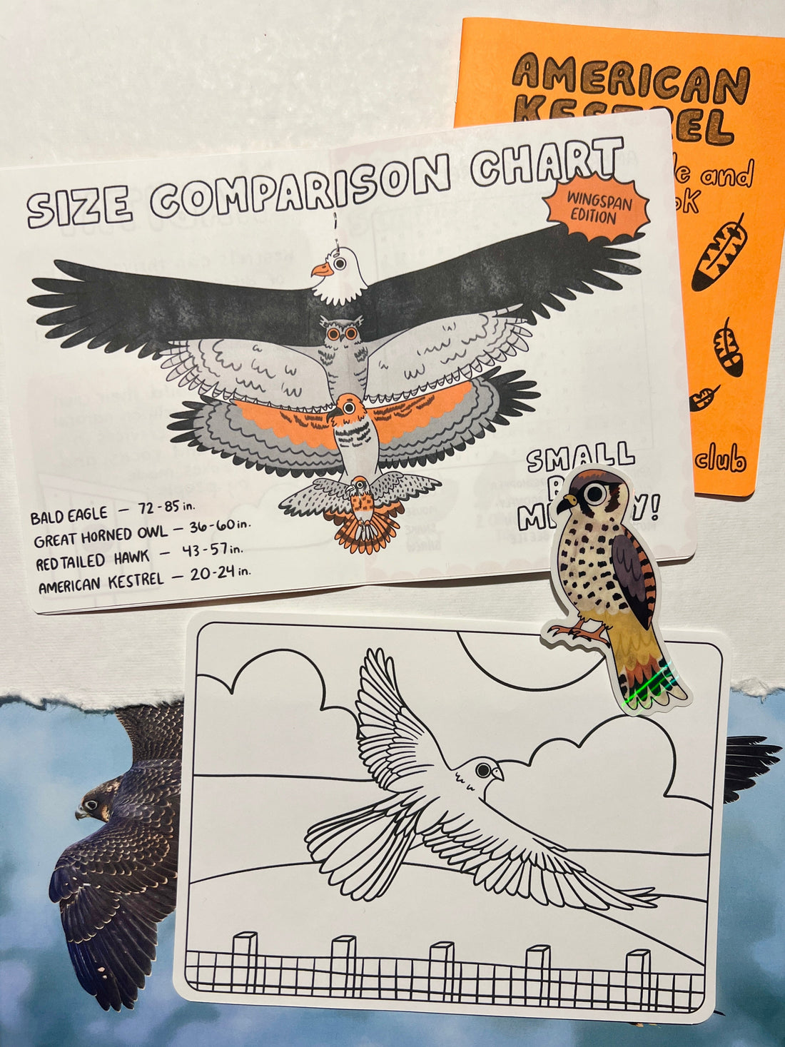 American Kestrel Mail Club